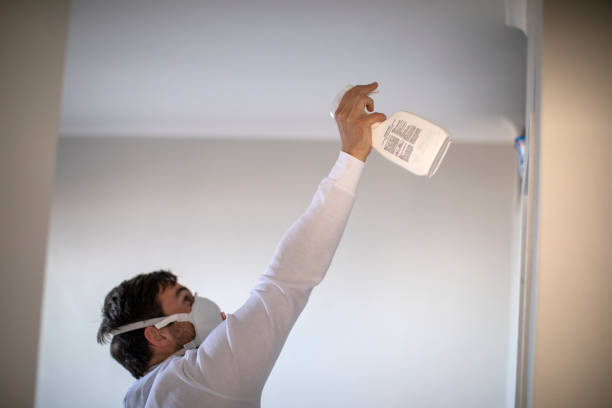 Best Post-Flood Mold Remediation in Galeville, NY